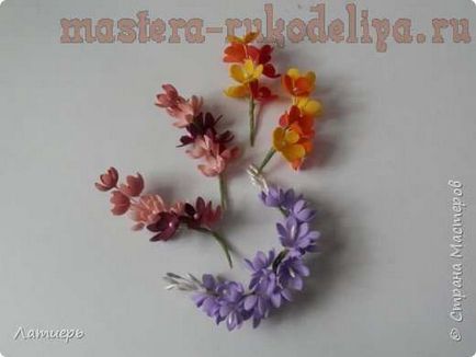 Clasa de masterat pe flori din flori miniatură Fonamir
