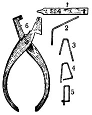 Etichetarea animalelor