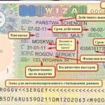 Asigurare medicala pentru RVP, asigurare de miere, OMS, pret si documente in Rusia, migranti