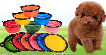 Bowls pentru câini - cumpărați un castron de silicon pliabil pentru câini