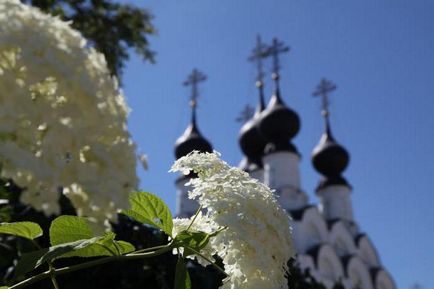 Мощі Петра і Февронії в Муромі адреса, відгуки, фото