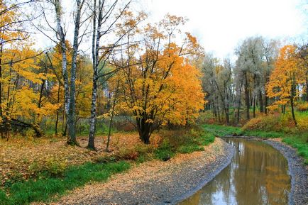Nyevszkij Forest Park, a birtok Bogoslovka és az egyház a közbenjárás, független utazási
