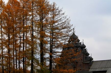 Невський лісопарк, садиба Богослівка і покровская церква, самостійні подорожі