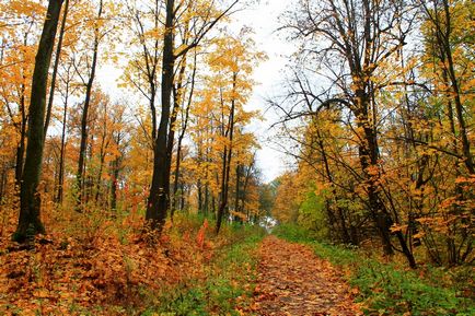 Parcul forestier Nevsky, teologul gospodăriei și Biserica de mijlocire, călătorii independente