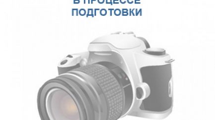 Новини Мелітополя і Мелітопольської області - ріа «Оренбуржье» - кожному Йошкін коту по кішці!