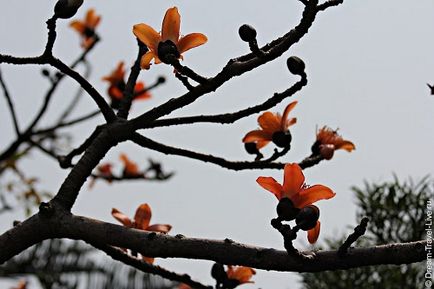 Parcul ocean din Hong Kong - cum să ajungeți la parcul oceanului, parcul oceanului pe hartă