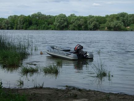 Одомашнений блукач kneeboard