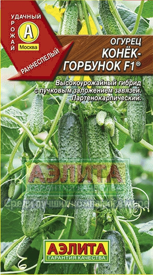 Огірок коник Горбоконик f1® купити насіння огірків оптом оптом і в роздріб від виробника