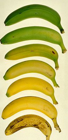 Evaluarea calității și a maturității bananelor