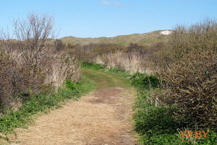 Про туризм пляж на острові Тесселі (texel) як доїхати і що подивитися