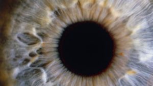 Csapok és pálcikák retina-betegség