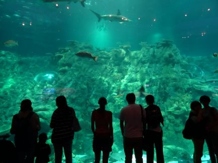 Ocean Park în Hong Kong