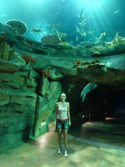 Ocean Park în Hong Kong (parc) Ocean Park în Hong Kong