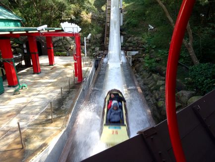 Парк розваг Оушен парк (ocean park) в Гонконгу