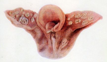 Anatomia patologică a animalelor