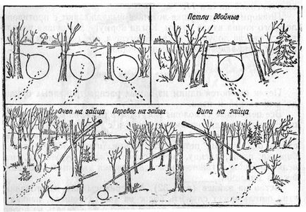 Петлі на зайців