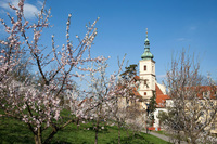 Petrin - történelem, turisztika, sikló, a terület és a park található, hogyan