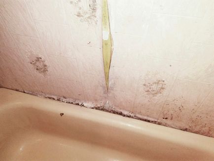 Цвіль у ванній на стелі чим небезпечна, і як позбутися