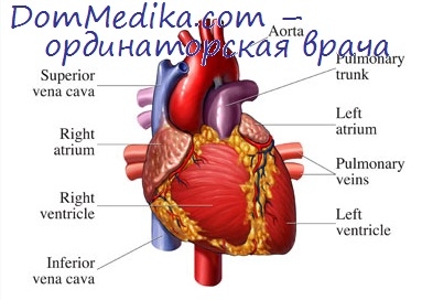 Ниркова недостатність