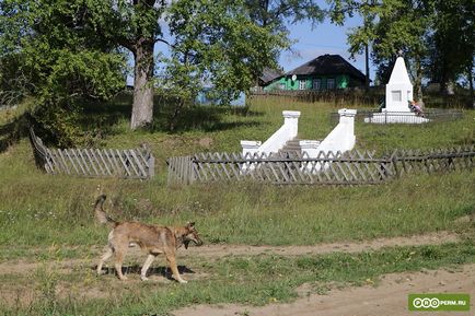 Почім фунт шлиха