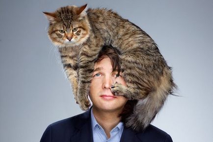 Miért a macska fekszik egy beteg ember helyét mindig formában! (Cat) Miért a macska fekszik egy beteg ember helyét mindig formában!