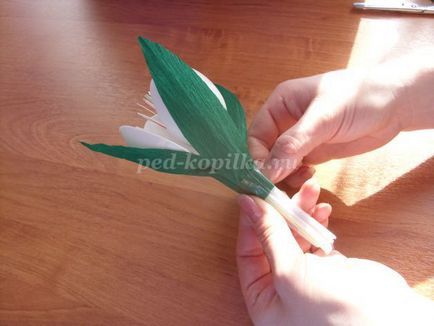 Hóvirág eldobható kanál kezük (ffffff) Hóvirág eldobható kanál kezük