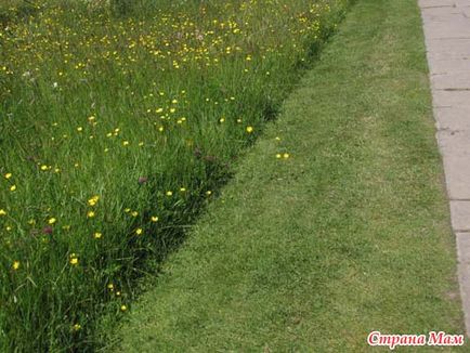 Zona de frontieră pentru a decora frontierele de paturi de flori, peluze și aterizări