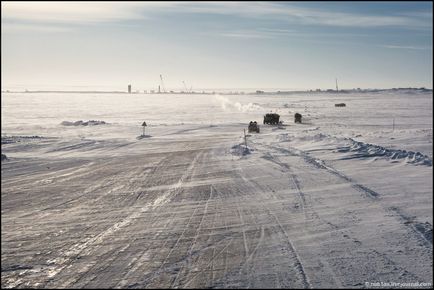 Півострів Ямал, невеликий звіт