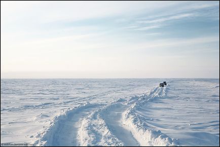 Півострів Ямал, невеликий звіт