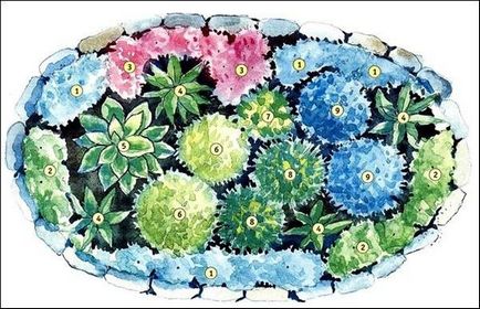 Regulile pentru alegerea și plantarea florilor pentru patul de flori, cel mai bun loc pentru un pat de flori