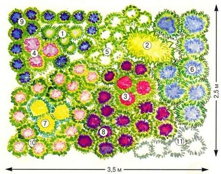 Regulile pentru alegerea și plantarea florilor pentru patul de flori, cel mai bun loc pentru un pat de flori