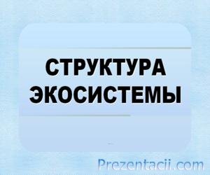 презентація біогеоценози