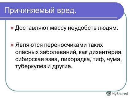 Презентація на тему тварини - мешканці житла людини