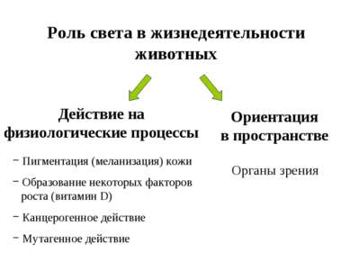 Презентація - огляд найважливіших абіотичних факторів середовища