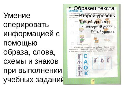 Prezentarea diagnosticului pedagogic - începutul școlii - (clasa I)