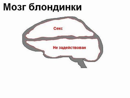 Viccek az agy, amely az agy egy nő, hogy mi van az emberek agyát, és a szőke diák