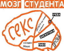 Приколи про мозок з чого складається мозок жінки, з чого складається мозок чоловіка, студента і блондинки