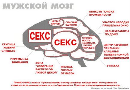 Приколи про мозок з чого складається мозок жінки, з чого складається мозок чоловіка, студента і блондинки