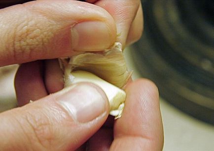 Aplicarea cojilor de usturoi în medicina populară, un secol