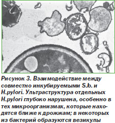 Utilizarea saccharomyces boulardii la copii, ediția online - știri de medicină și farmacie