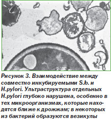 A Saccharomyces boulardii a gyermekek, az internet edition - hírek és Gyógyszerészeti (Saccharomyces) A Saccharomyces boulardii a gyermekek, az internet edition - hírek Orvosi és Gyógyszerészeti