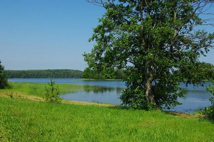 Natură, expanses și se odihnesc pe lacul Seliger, arca eco-hotel nou