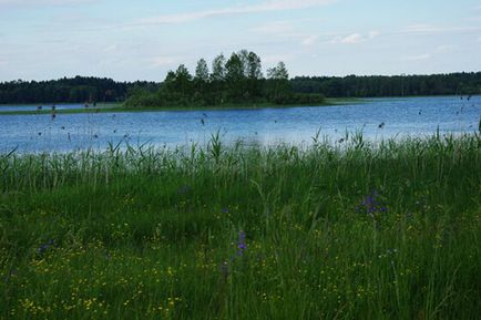 Природа, простори і відпочинок на озері Селігер, еко-готель новий ковчег