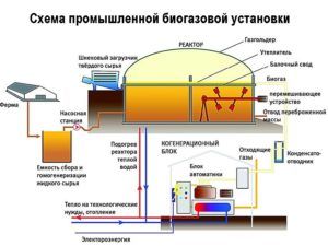 Виробництво біогазу своїми руками в домашніх умовах, фото