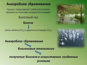 Виробництво біогазу своїми руками в домашніх умовах, фото