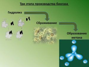 A biogáz termelés saját kezűleg otthon, fotók