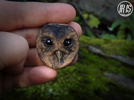 Owl bufniță