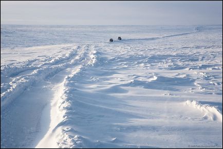 Călătorie spre Yamal (53 fotografii video), o doză de dispoziție