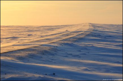 Călătorie spre Yamal (53 fotografii video), o doză de dispoziție