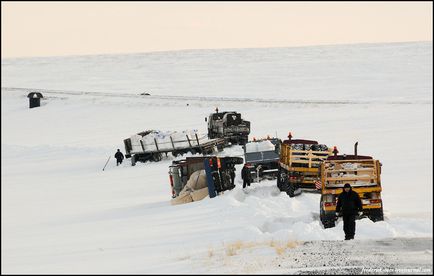 Călătorie spre Yamal (53 fotografii video), o doză de dispoziție